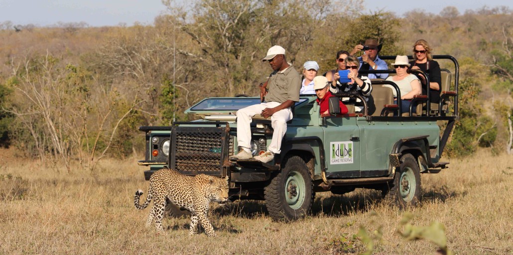 soulsafari copy